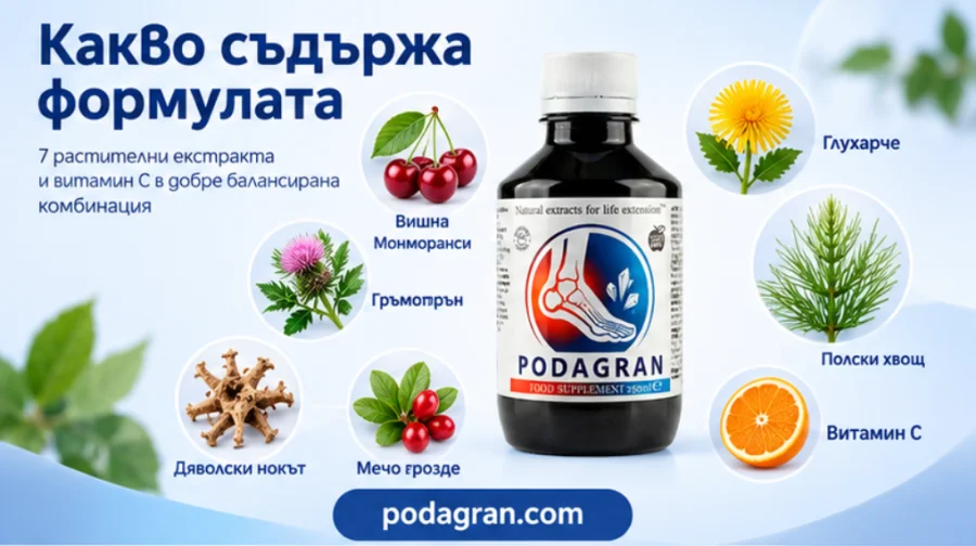 Podagran — билкови съставки на формулата